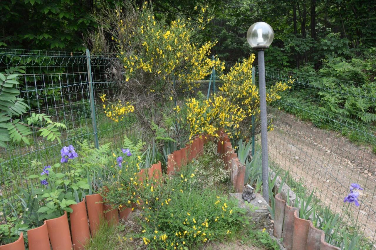 Casa Omnia B&B Castellamonte Dış mekan fotoğraf